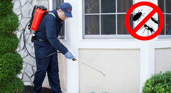 Erfelek Böcek İlaçlama böcek ilaçlama ve haşere kontrolü — ilaclama-tr.com